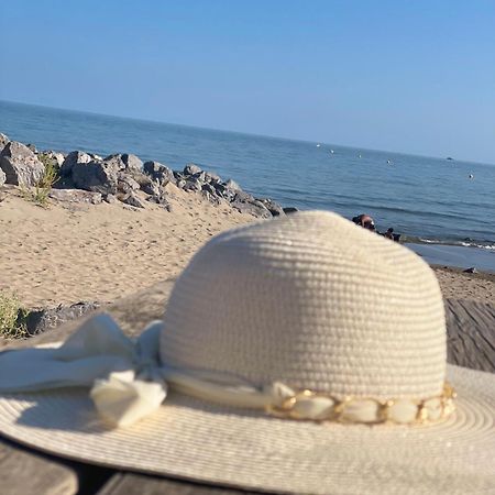 Vrasland Ter 70 M De La Plage 6 Couchages Нарбон-Плаж Екстериор снимка