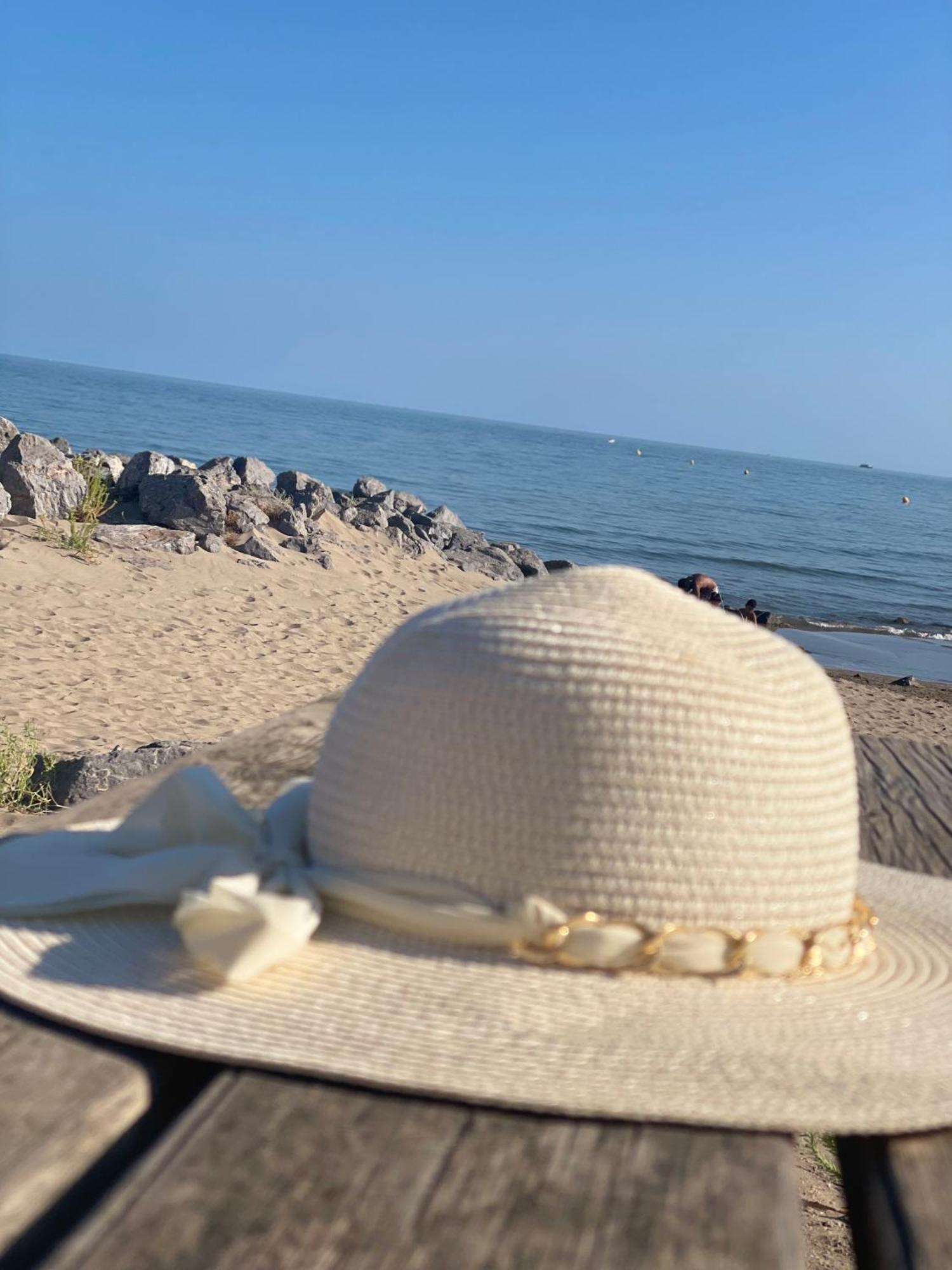 Vrasland Ter 70 M De La Plage 6 Couchages Нарбон-Плаж Екстериор снимка